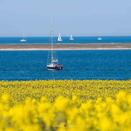 Urlaub Mit Ostseeblick, Schwimmbad, Sauna & Direkte Strandlage Kronsgaard Esterno foto
