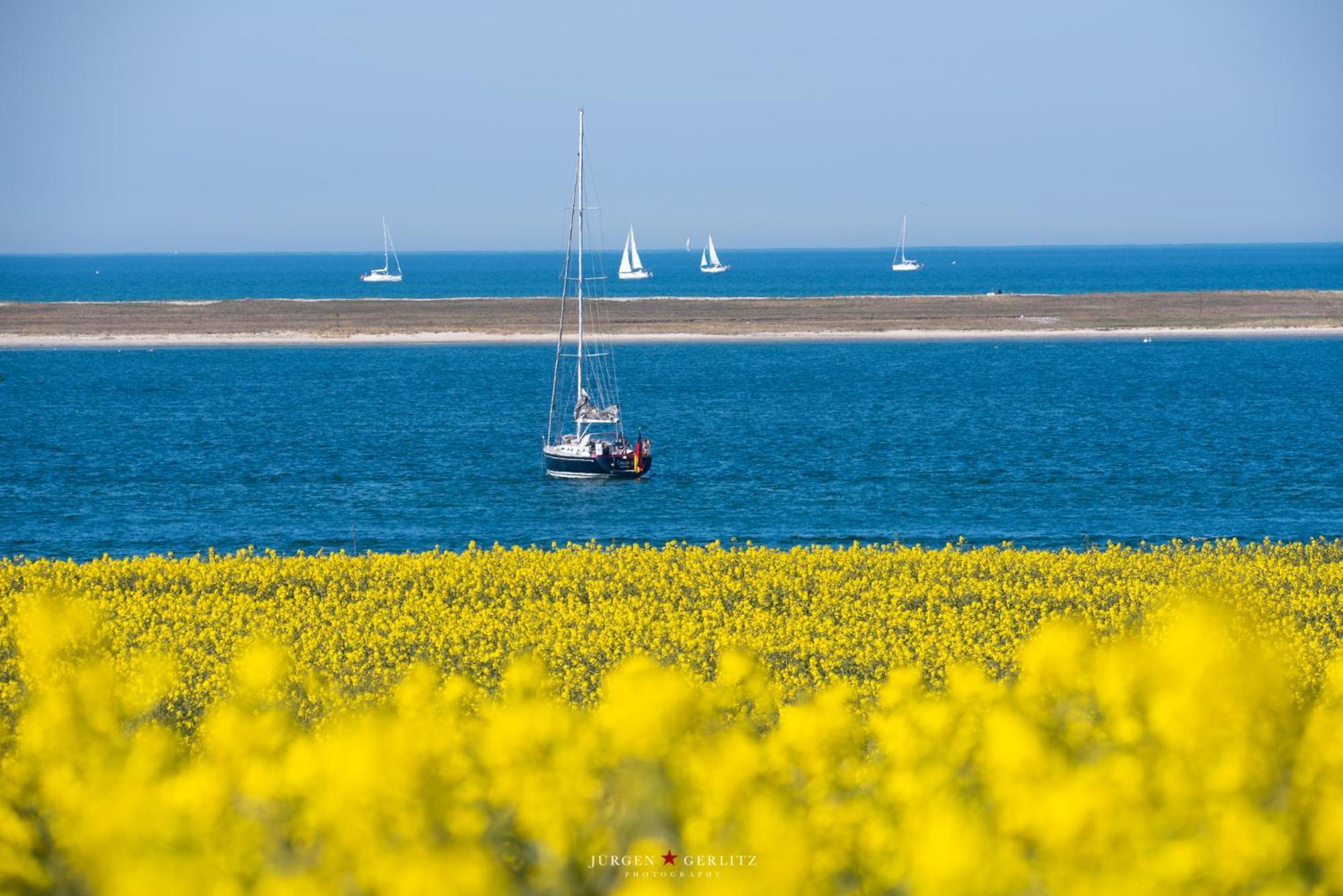 Urlaub Mit Ostseeblick, Schwimmbad, Sauna & Direkte Strandlage Kronsgaard Esterno foto