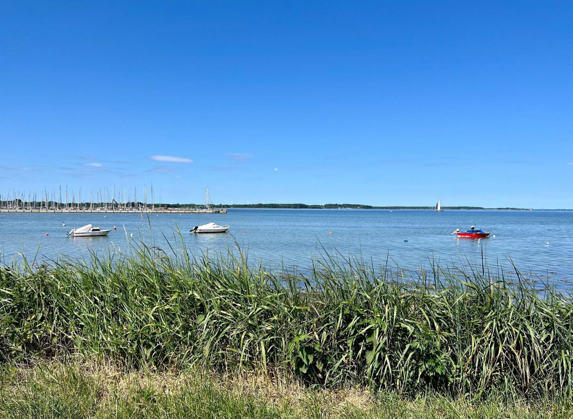 Urlaub Mit Ostseeblick, Schwimmbad, Sauna & Direkte Strandlage Kronsgaard Esterno foto